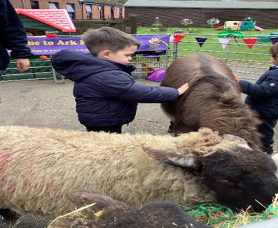 children stroking sheep
