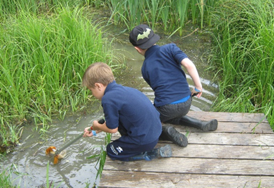 boys pond dipping
