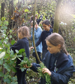 children in forest school