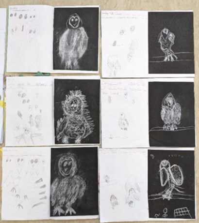 Owls through the medium of white chalk on black paper