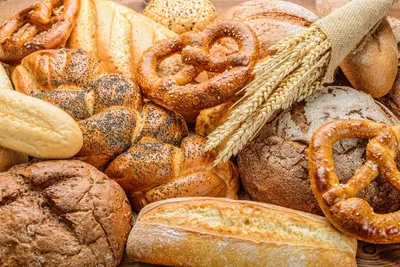 Different Types of Bread